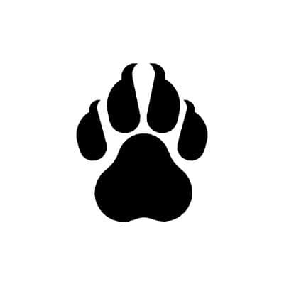 ClawCloud Run Logo