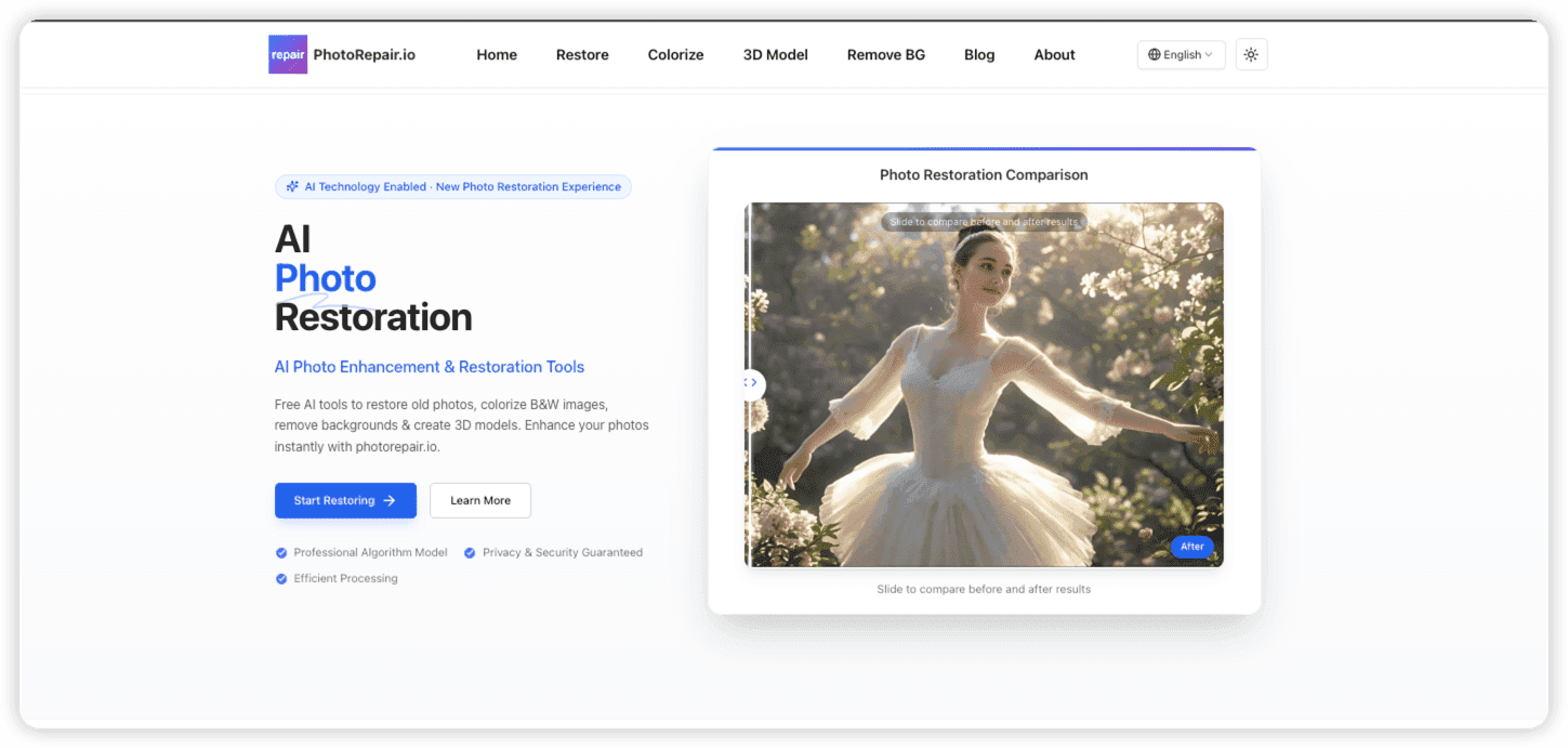 Photo Repair - Product Image