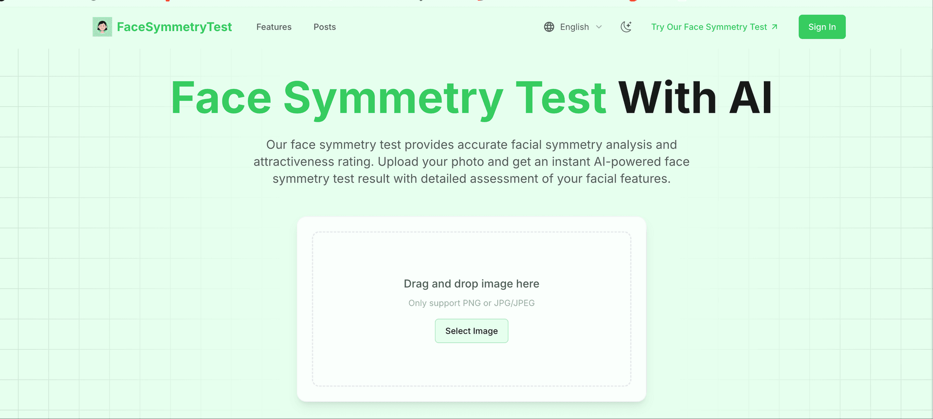 Face Symmetry Test - Product Image